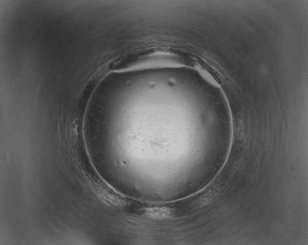 X0000084550363200702231211