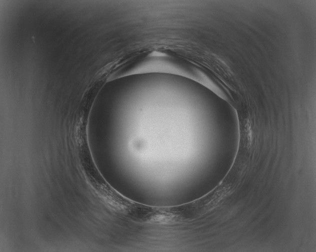 X0000084550364200702231211