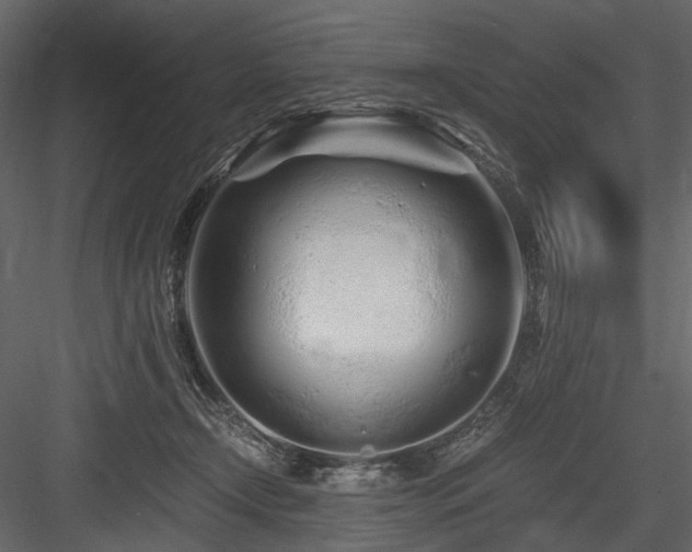X0000084550366200702231211