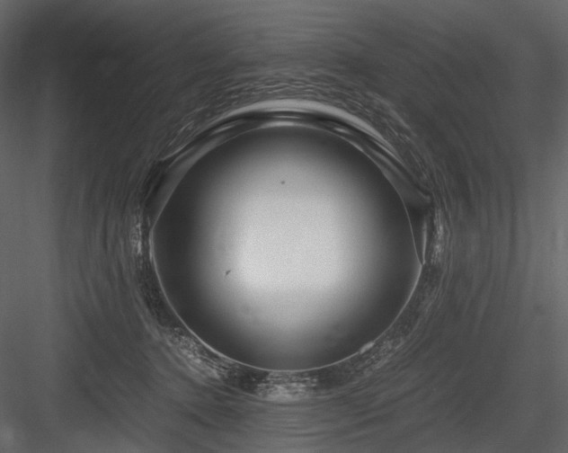 X0000084550368200702231211