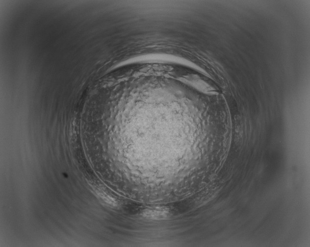 X0000084550369200702231211