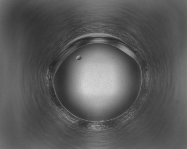 X0000084550372200702231212