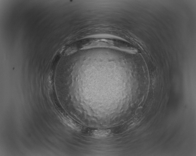 X0000084550373200702231212