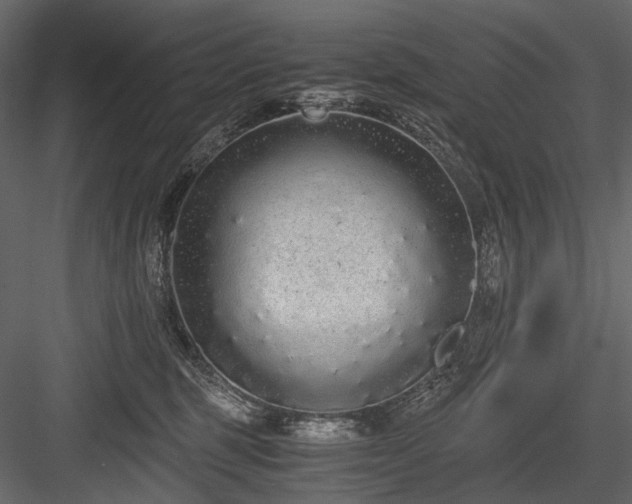 X0000084550375200702231212