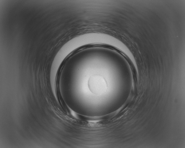 X0000084550376200702231212