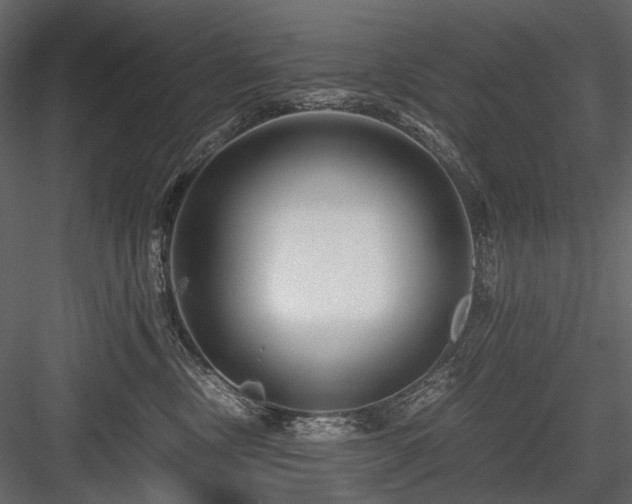 X0000084550378200702231212