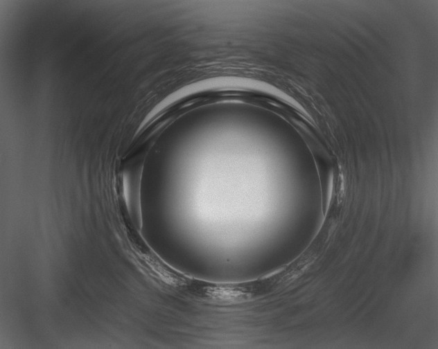 X0000084550380200702231212
