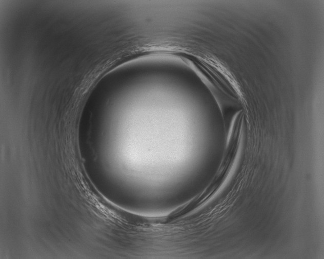 X0000084550385200702231211