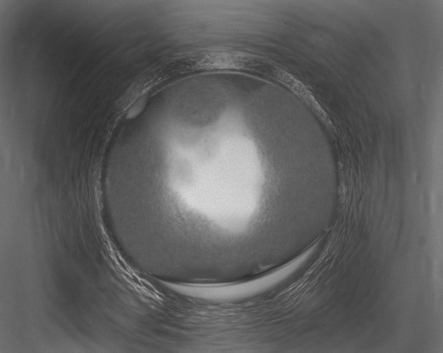 X0000084550386200702231211