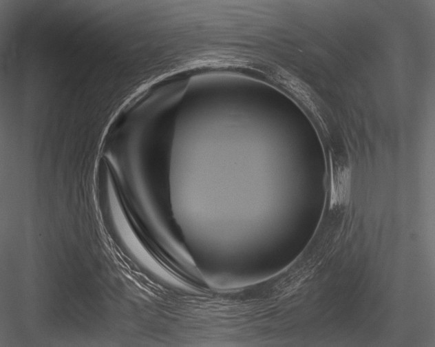X0000084550387200702231211
