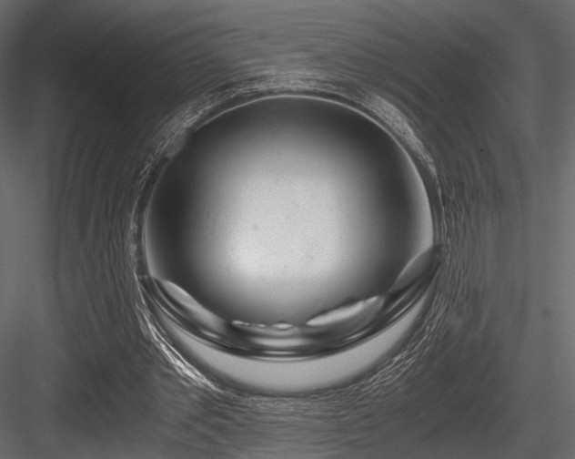 X0000084550389200702231211