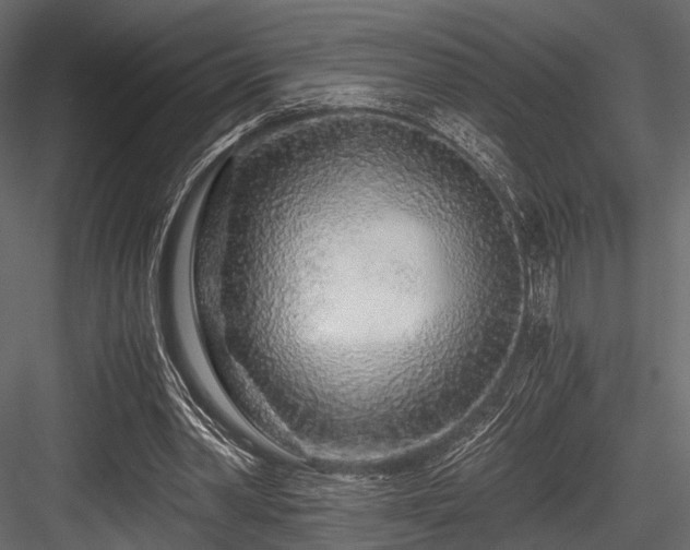 X0000084550390200702231211