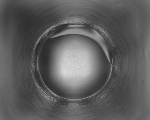X0000084550392200702231211