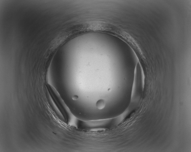 X0000084550393200702231211