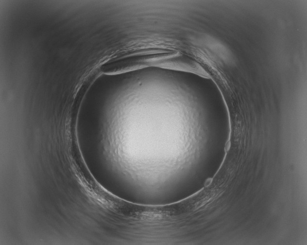 X0000084550394200702231211