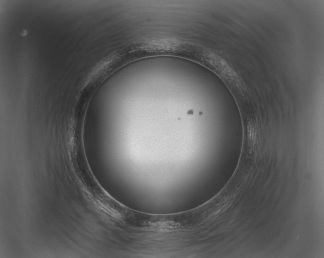 X0000084550396200702231211