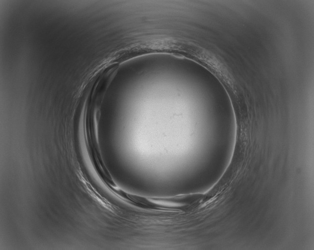 X0000084550397200702231211
