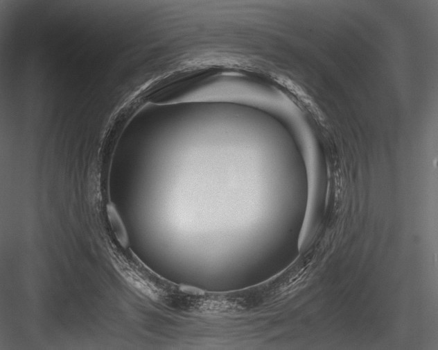 X0000084550399200702231211