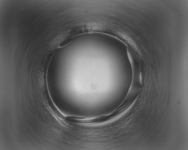 X0000084550401200702231211