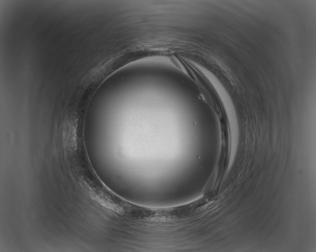 X0000084550404200702231211