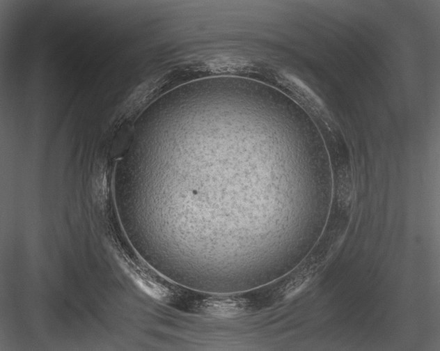X0000084550405200702231211