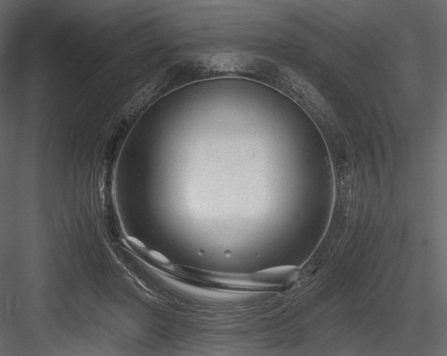 X0000084550406200702231211