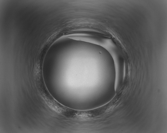 X0000084550407200702231211