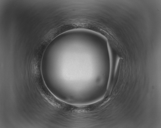 X0000084550408200702231210