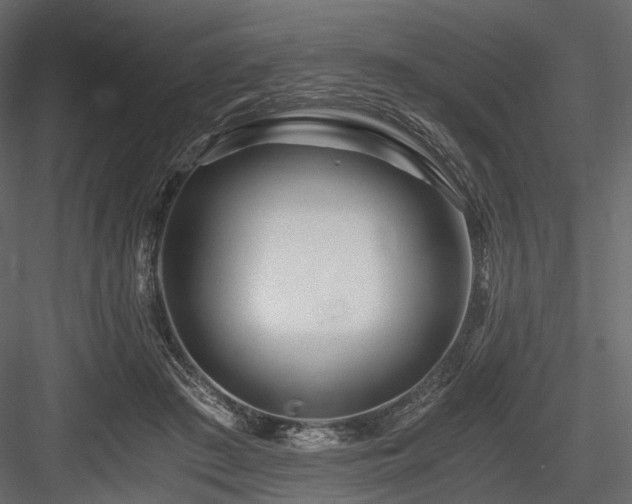 X0000084550409200702231210