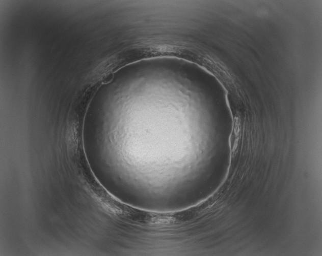 X0000084550410200702231210