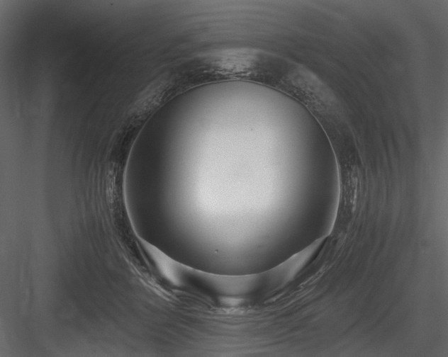 X0000084550412200702231210