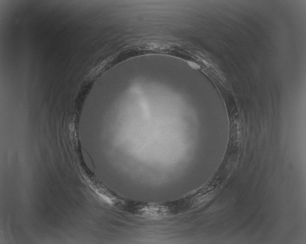 X0000084550415200702231210