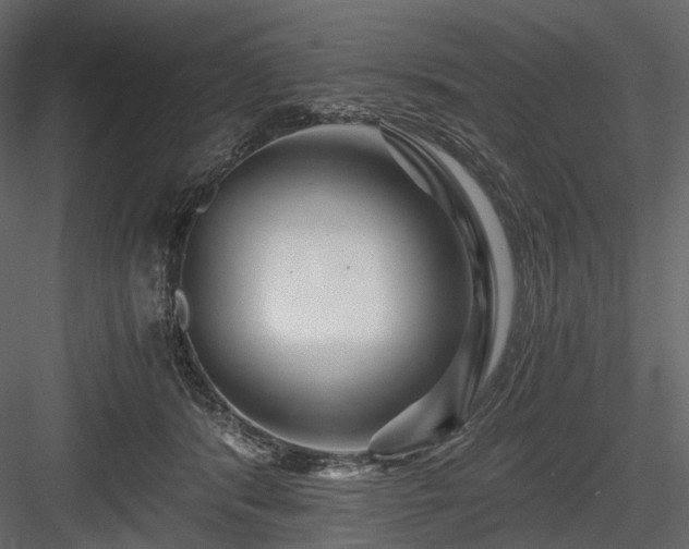 X0000084550416200702231210