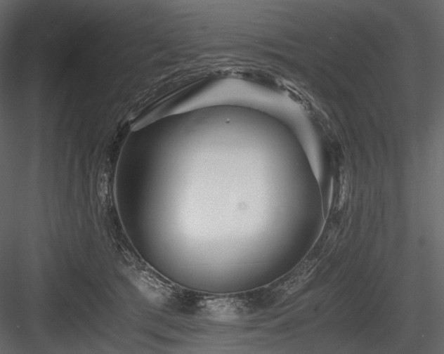 X0000084550417200702231210
