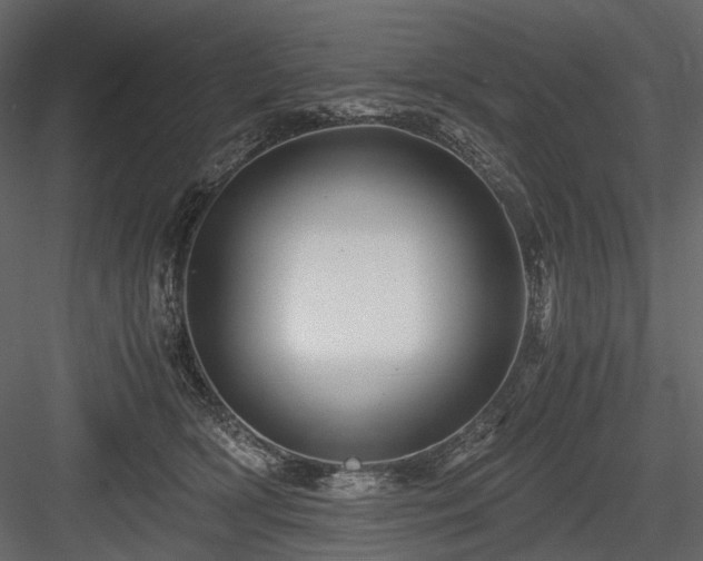 X0000084550418200702231210