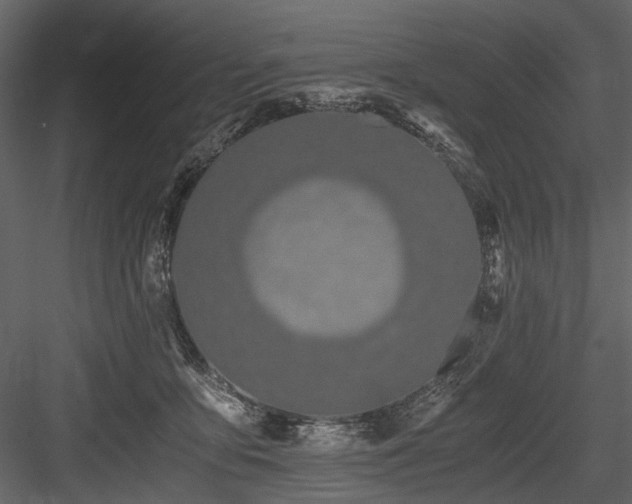 X0000084550419200702231210