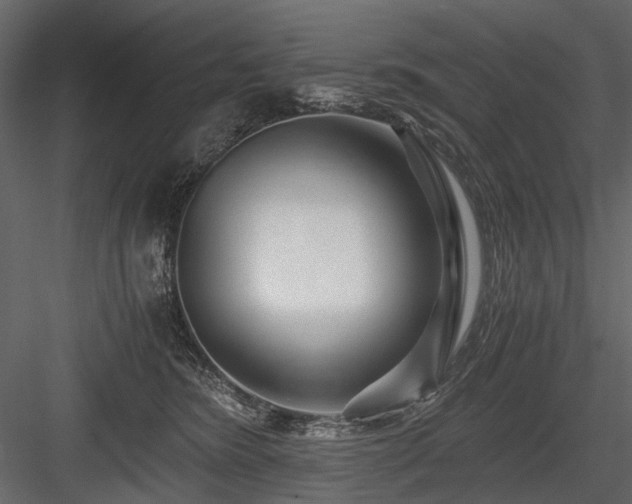 X0000084550420200702231210