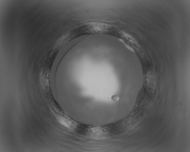 X0000084550423200702231210