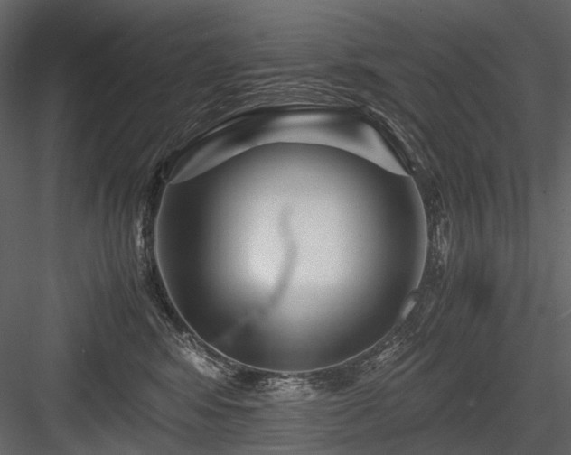 X0000084550424200702231210