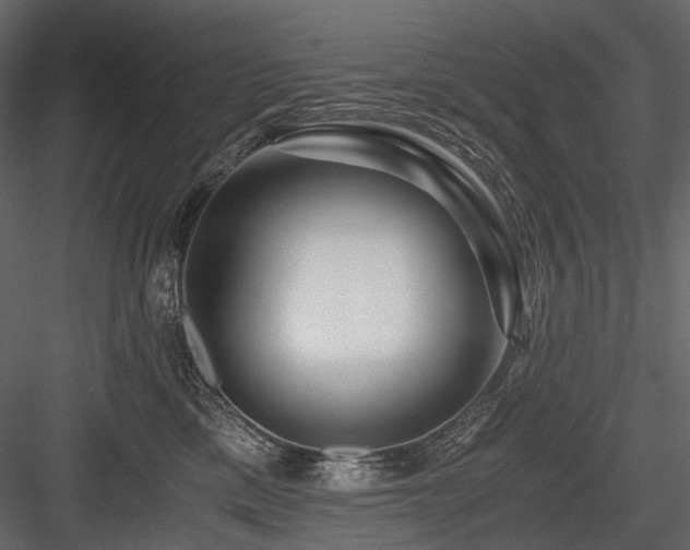 X0000084550425200702231210