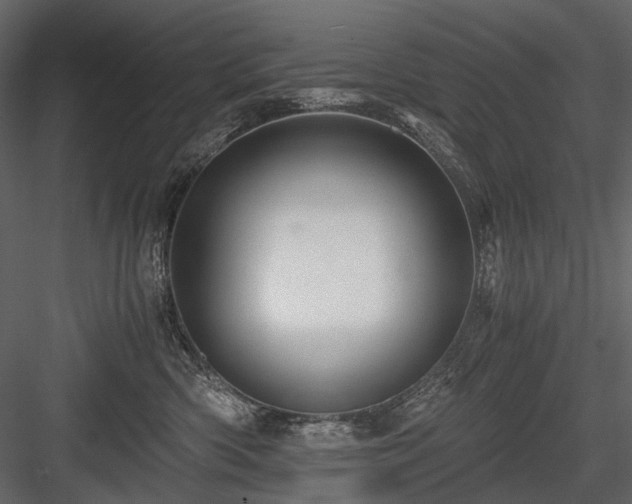 X0000084550426200702231210