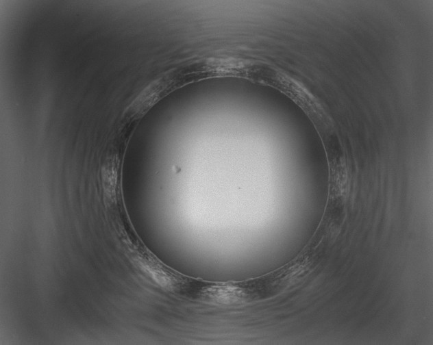 X0000084550427200702231210