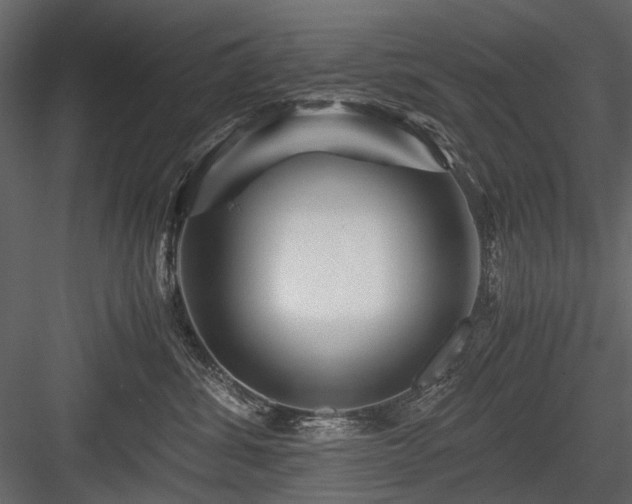 X0000084550428200702231210