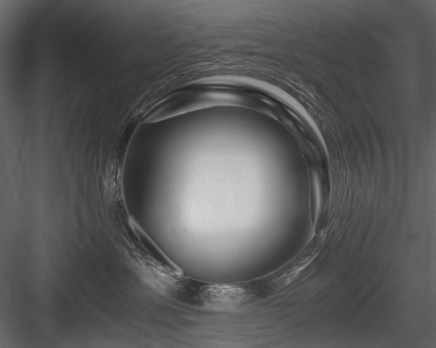 X0000084550429200702231210