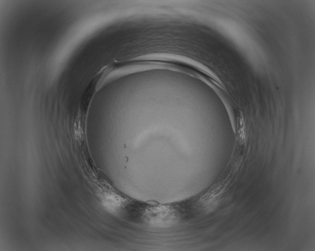 X0000084550431200702231210
