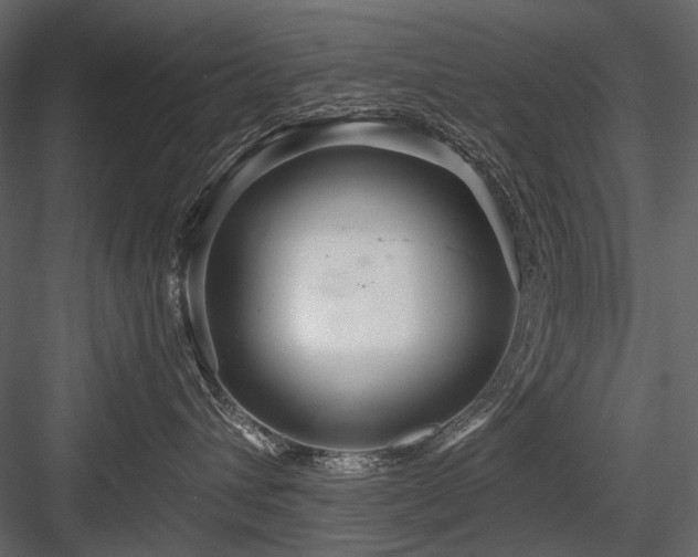 X0000084550432200702231210