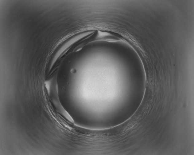 X0000084550434200702231209