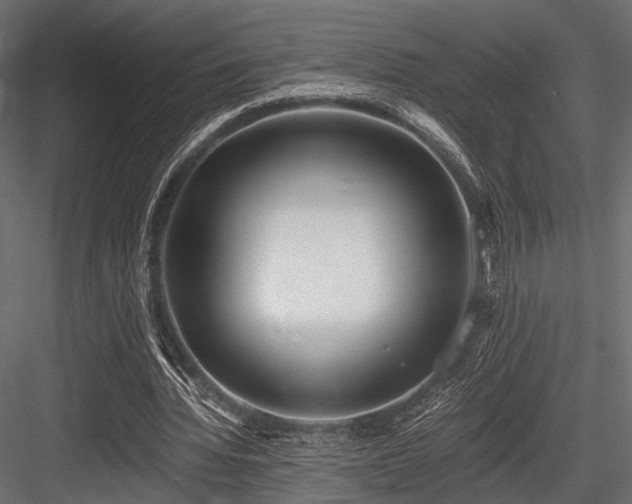 X0000084550436200702231209