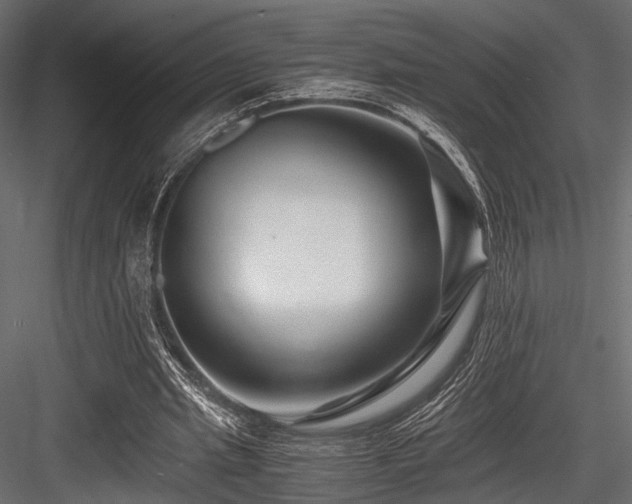 X0000084550437200702231209
