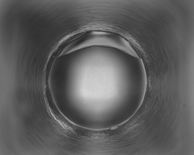 X0000084550438200702231209